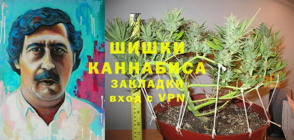 эйфоретик Липки