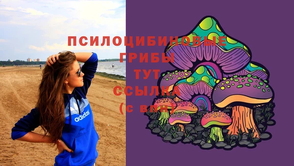 амф Майский