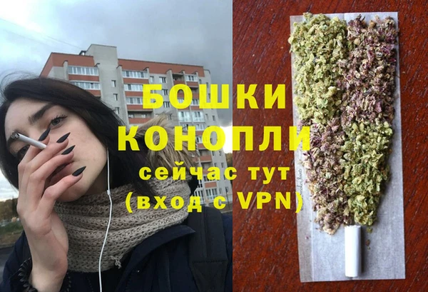 эйфоретик Липки
