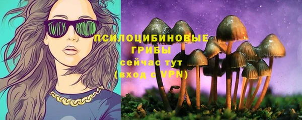 эйфоретик Липки