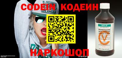 амф Камышлов