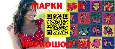 СК Кандалакша