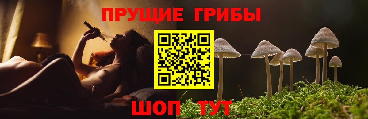 Тула  Псилоцибиновые грибы GOLDEN TEACHER  Вход с VPN  Псилоцибиновые грибы Psilocybine cubensis 